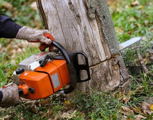 tree-removal-services